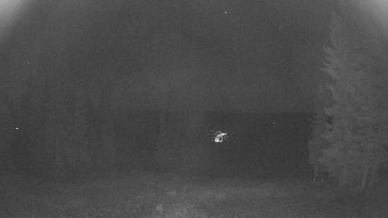 Beaver Creek webcam