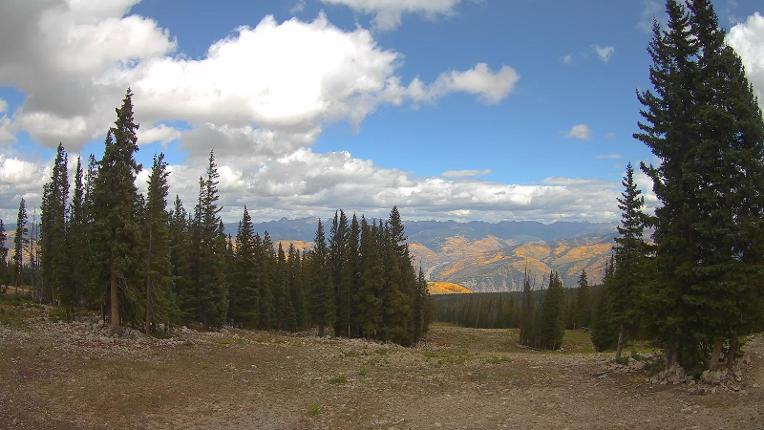 Webcam Beaver Creek: Red buffalo park