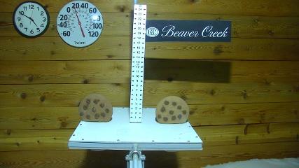 Beaver Creek webcam