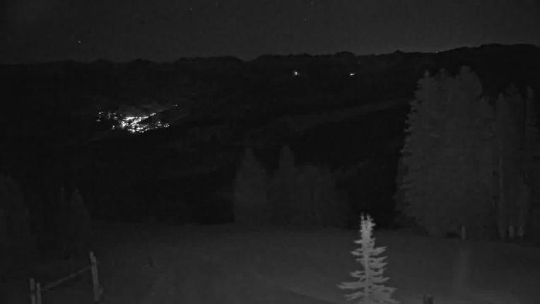 Webcam Beaver Creek: Spruce