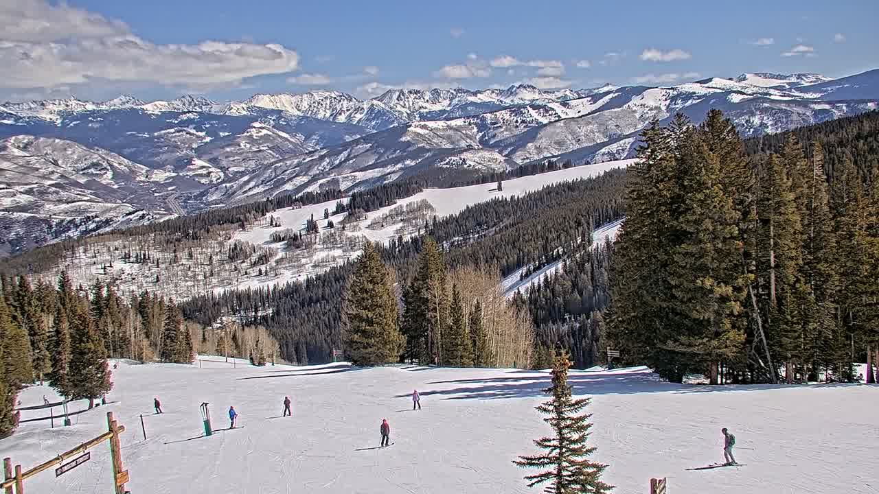 Webcam Beaver Creek: Spruce