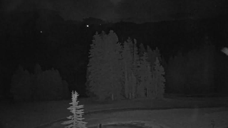 Webcam Beaver Creek: Spruce
