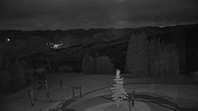 Webcam Beaver Creek: Spruce