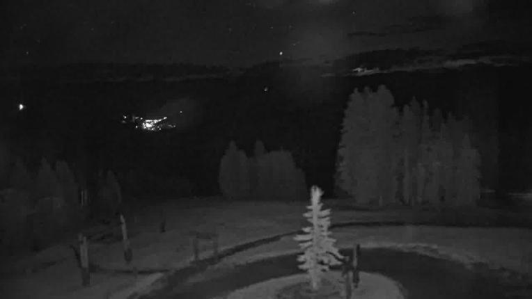 Webcam Beaver Creek: Spruce