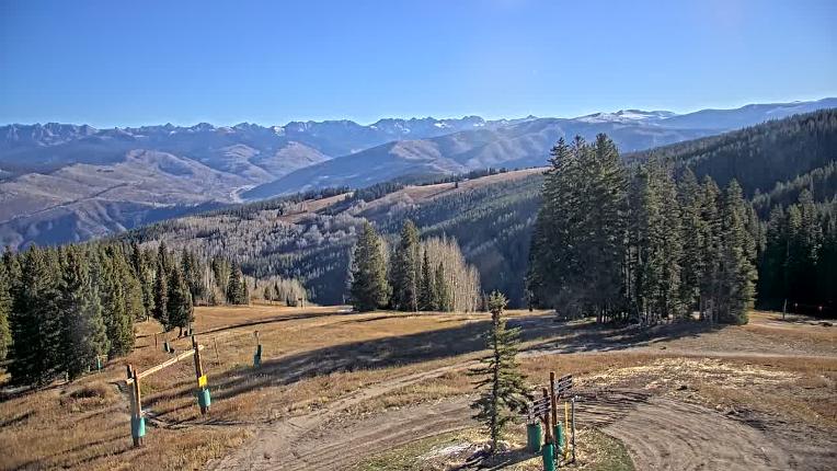 Webcam Beaver Creek: Spruce