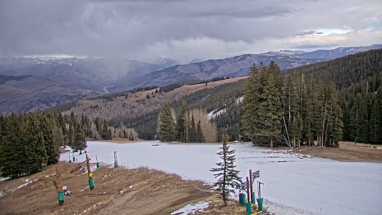 Webcam Beaver Creek: Spruce