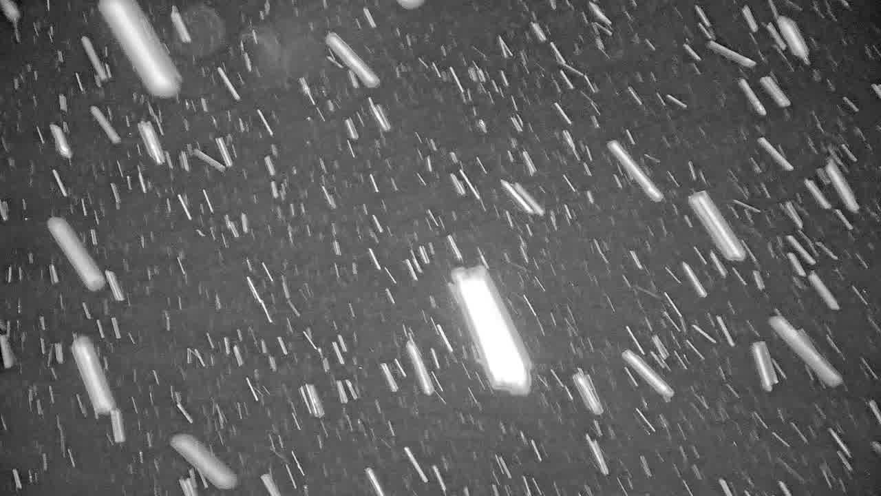 Webcam Beaver Creek: Spruce