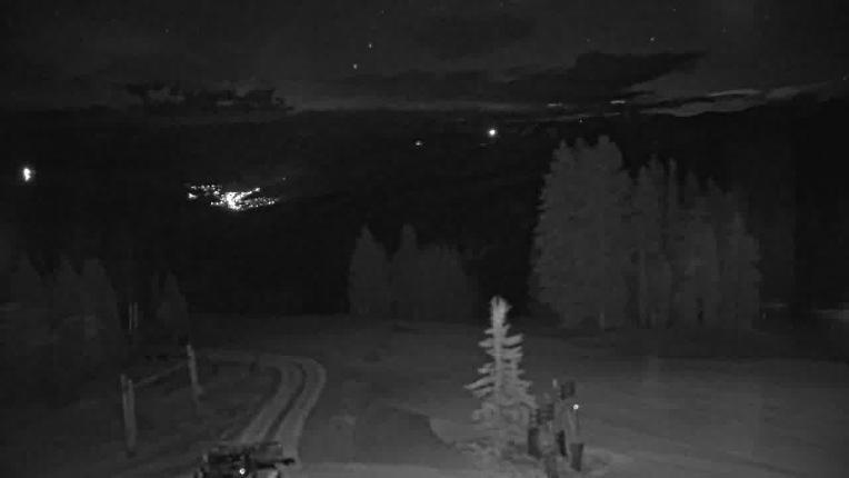 Webcam Beaver Creek: Spruce