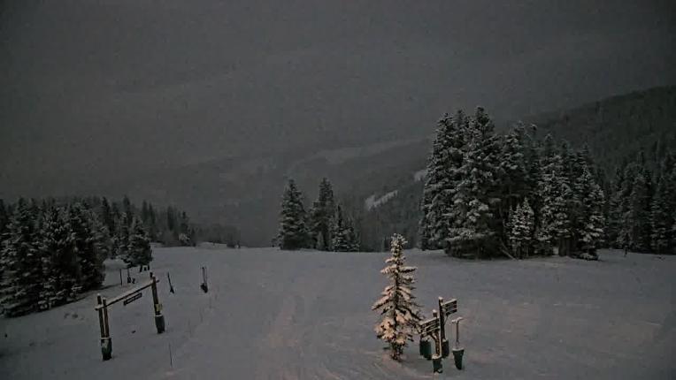 Webcam Beaver Creek: Spruce