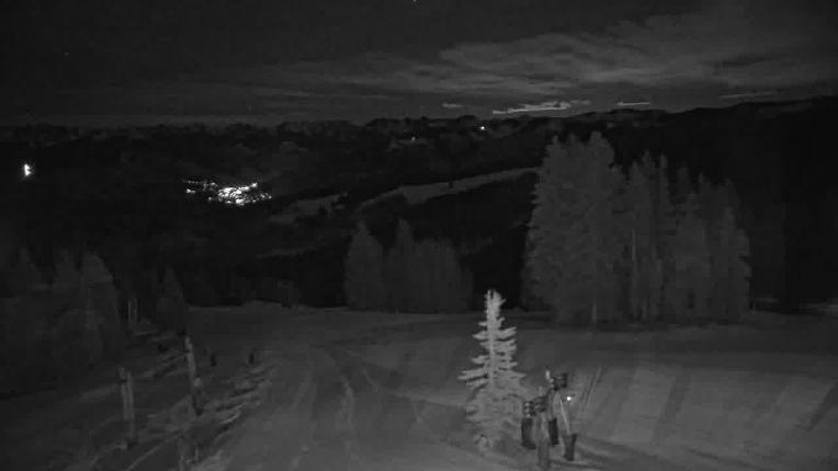 Webcam Beaver Creek: Spruce