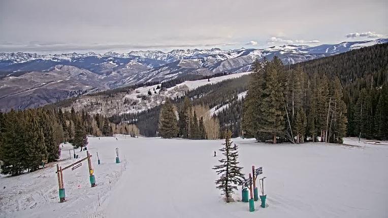 Webcam Beaver Creek: Spruce