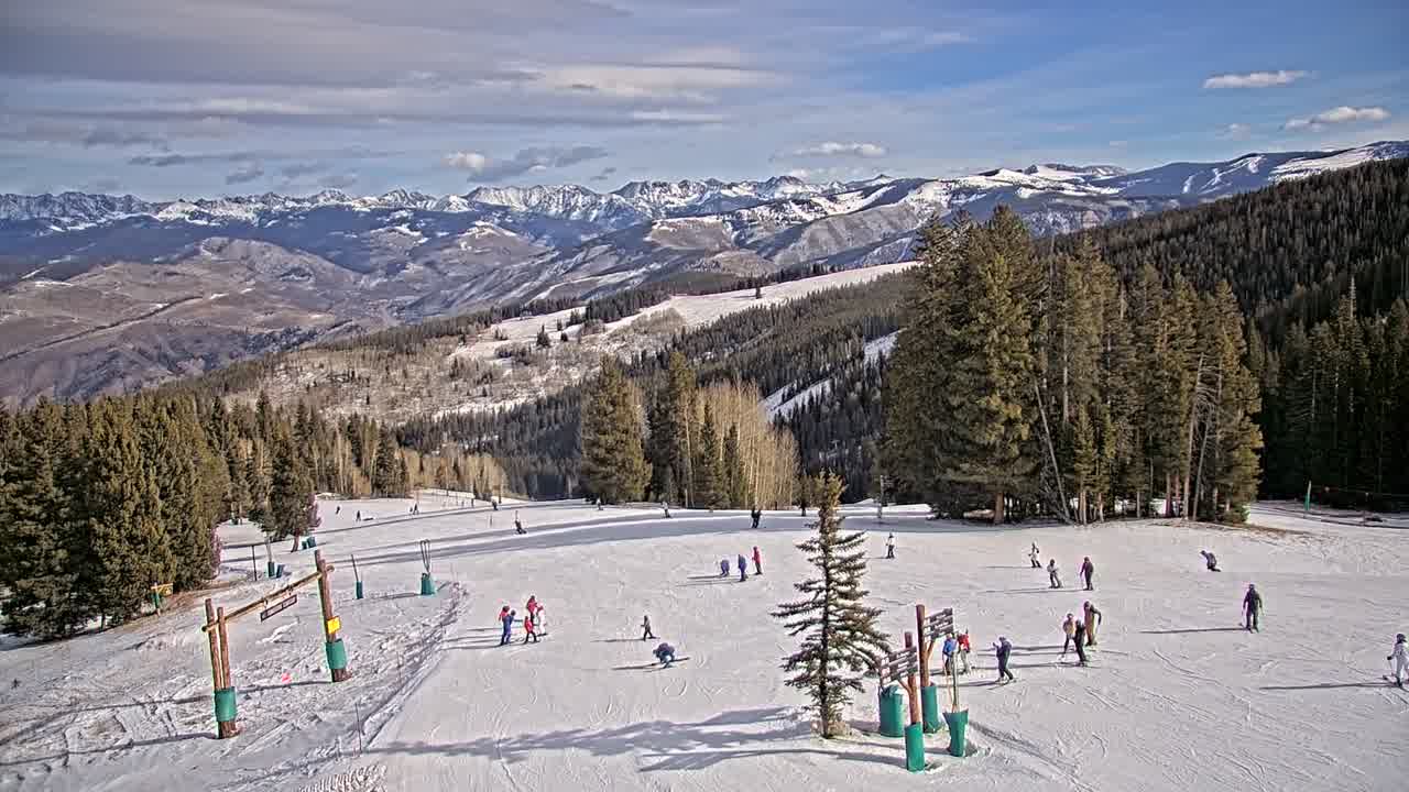 Webcam Beaver Creek: Spruce
