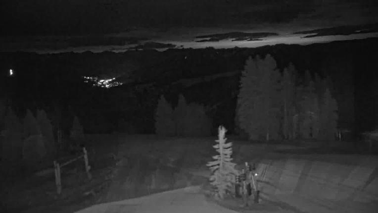 Webcam Beaver Creek: Spruce