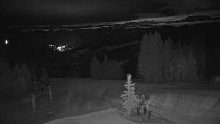 Webcam Beaver Creek: Spruce