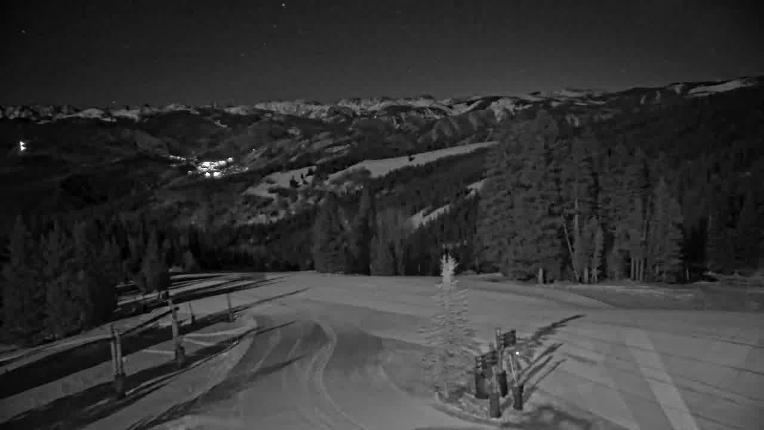 Webcam Beaver Creek: Spruce