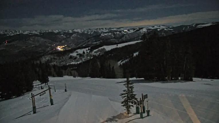 Webcam Beaver Creek: Spruce