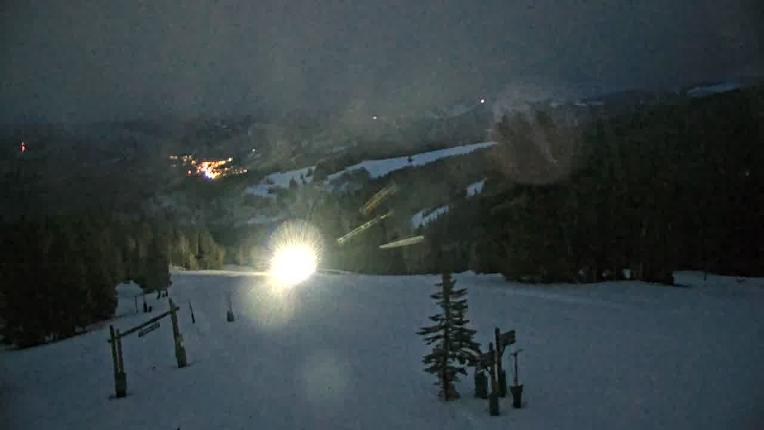 Webcam Beaver Creek: Spruce