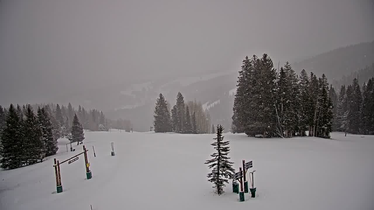 Webcam Beaver Creek: Spruce