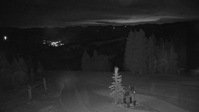 Webcam Beaver Creek: Spruce