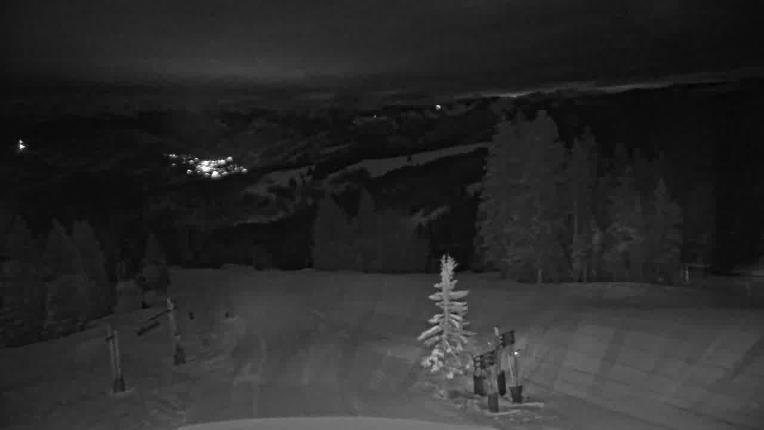 Webcam Beaver Creek: Spruce