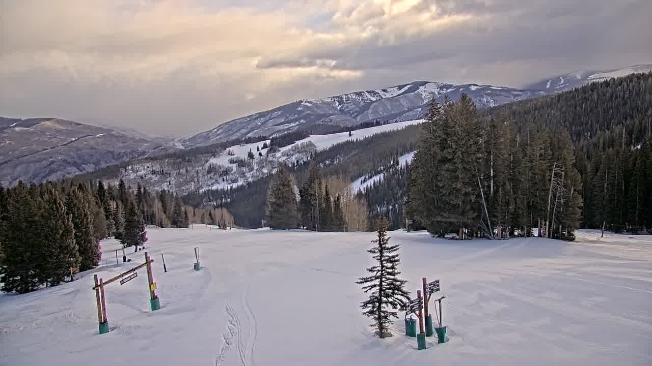 Webcam Beaver Creek: Spruce