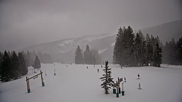 Webcam Beaver Creek: Spruce