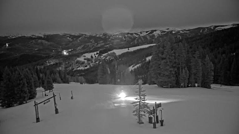 Webcam Beaver Creek: Spruce