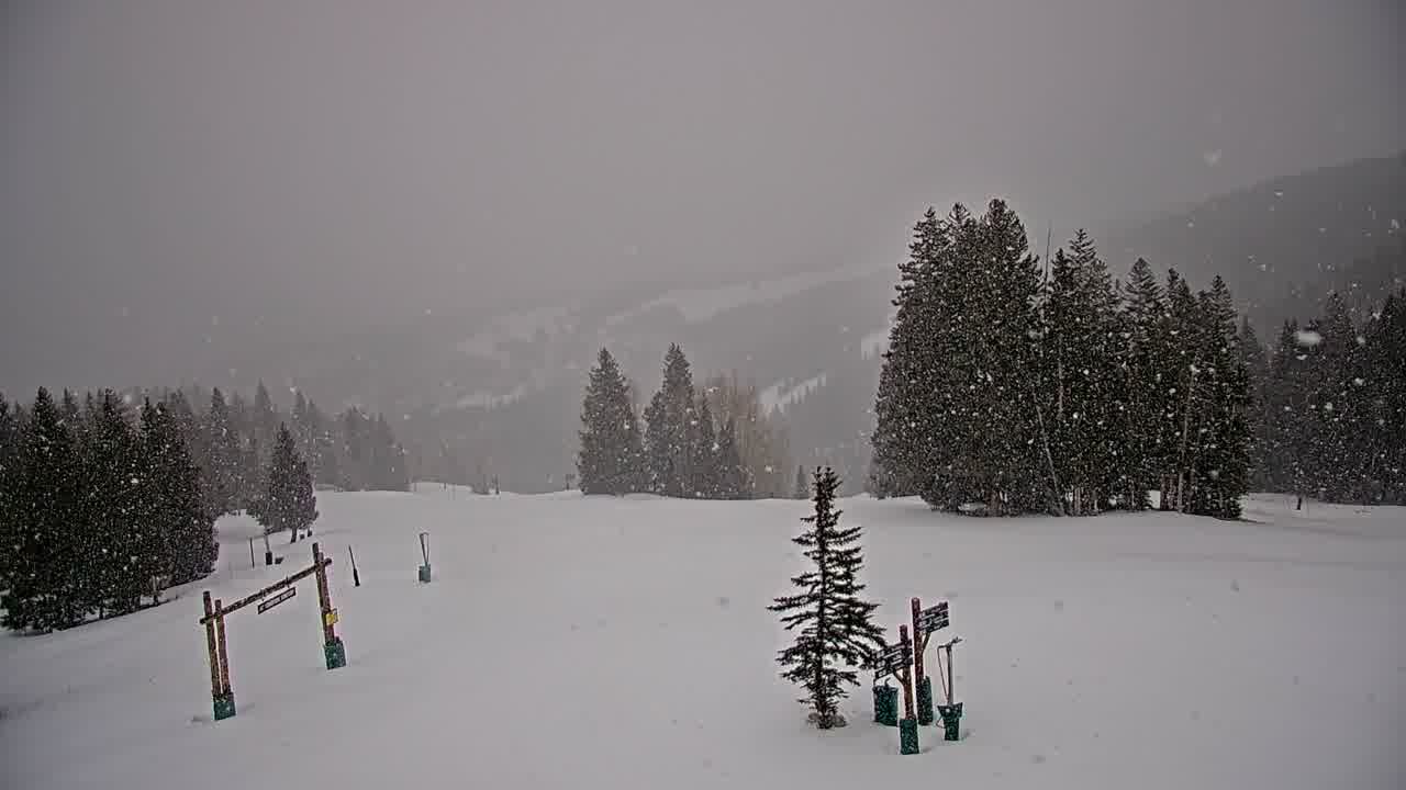 Webcam Beaver Creek: Spruce