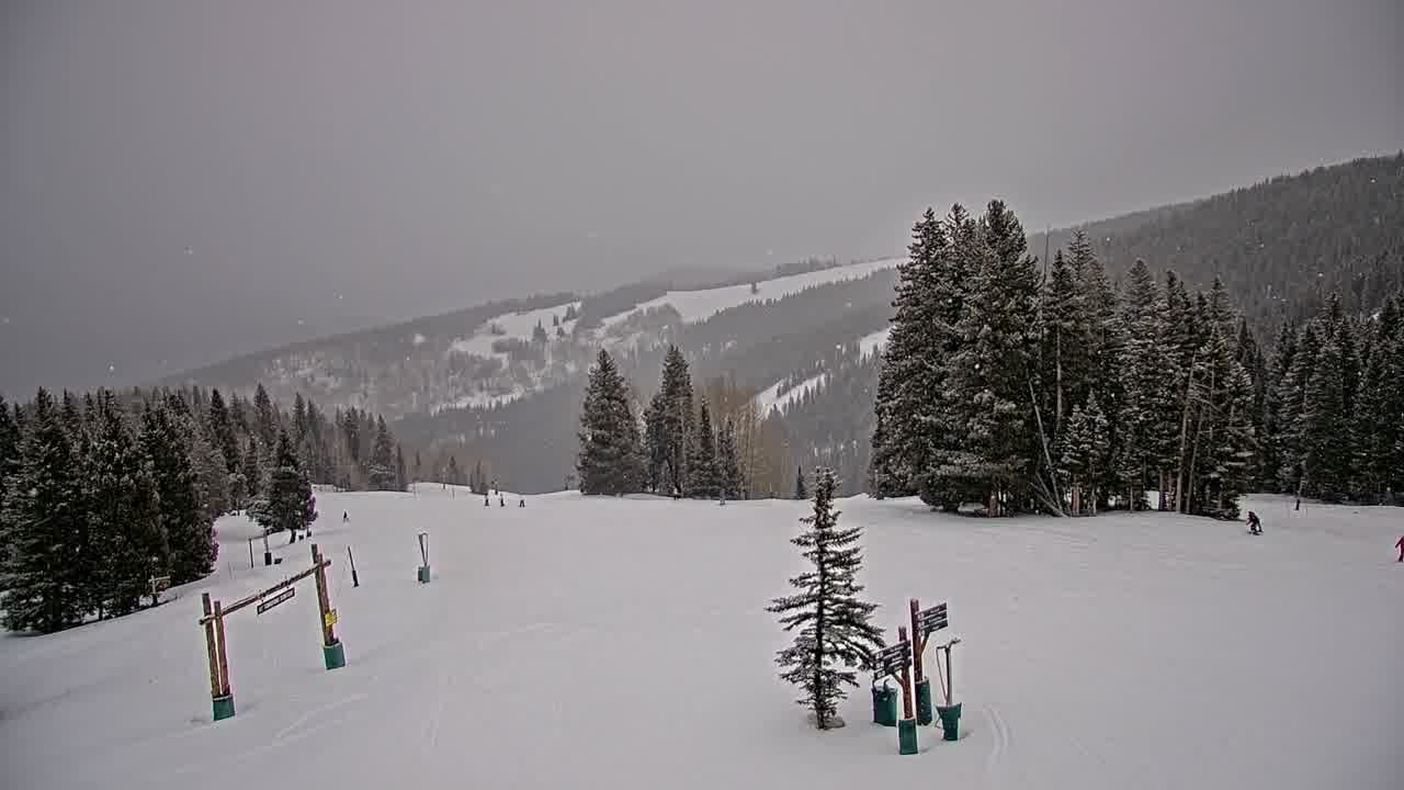 Webcam Beaver Creek: Spruce
