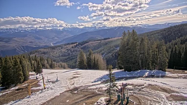 Webcam Beaver Creek: Spruce