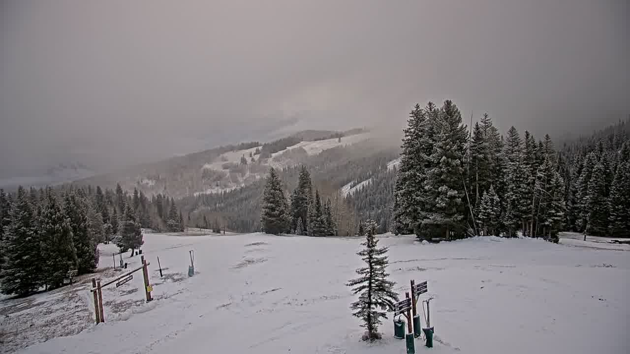 Webcam Beaver Creek: Spruce