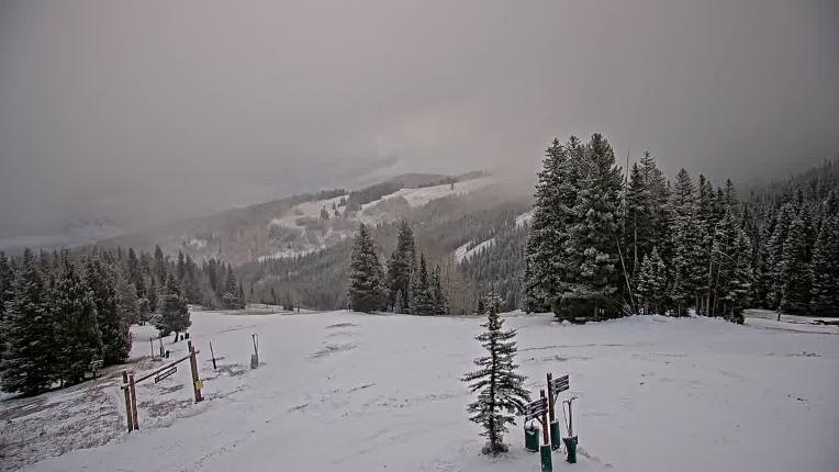 Webcam Beaver Creek: Spruce