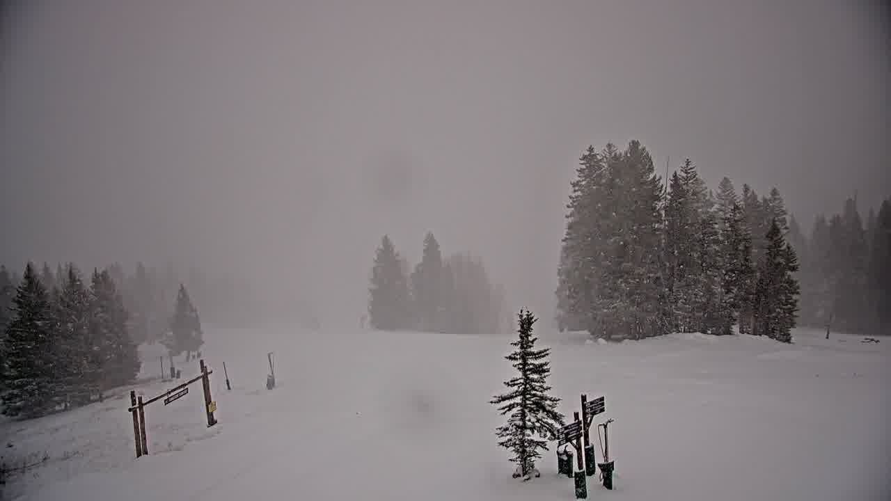 Webcam Beaver Creek: Spruce