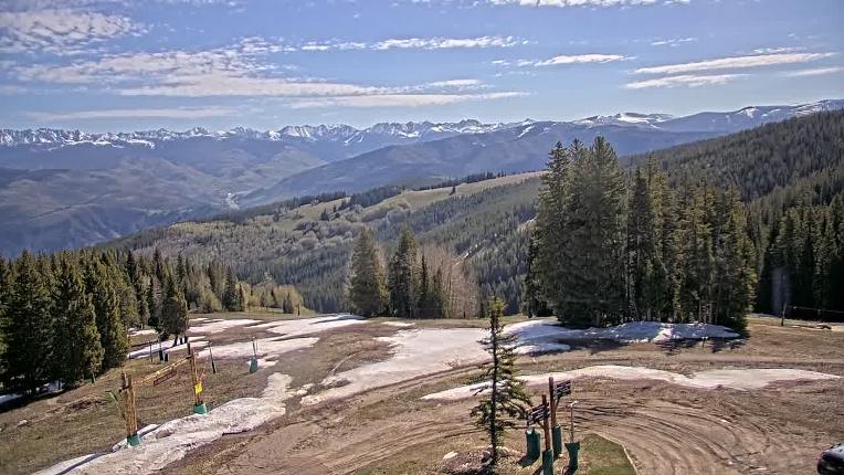 Webcam Beaver Creek: Spruce