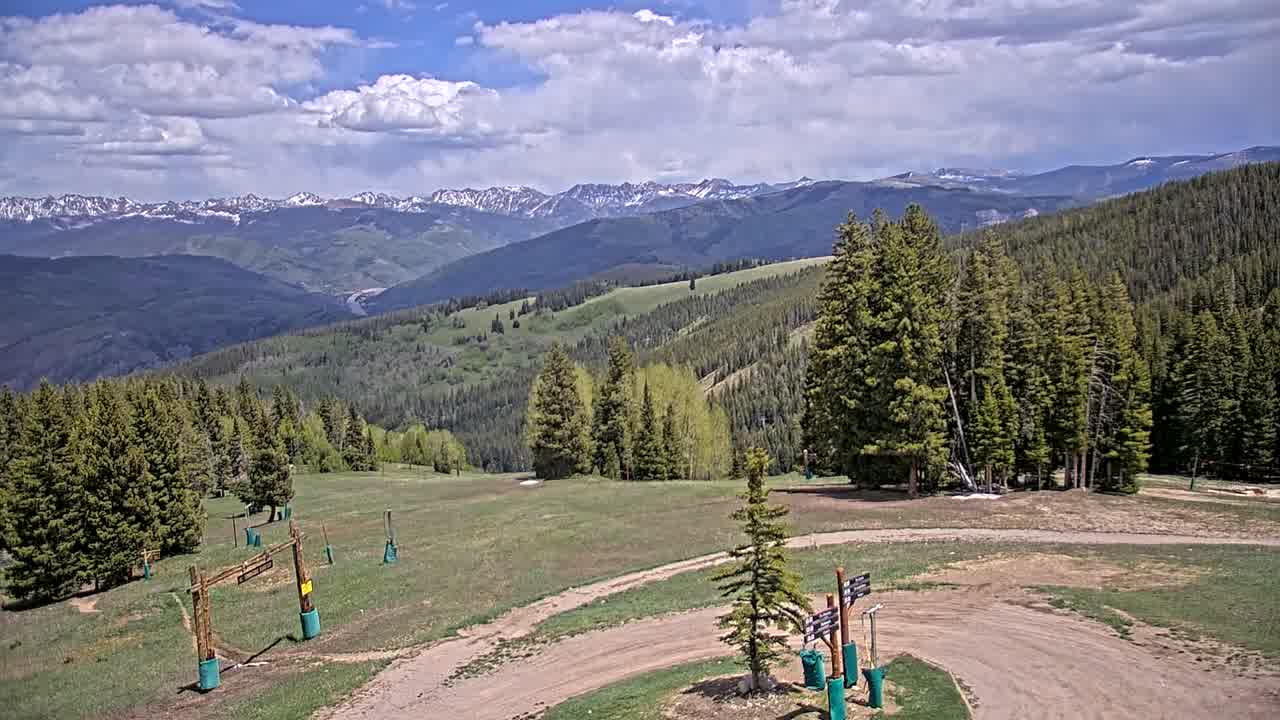 Webcam Beaver Creek: Spruce