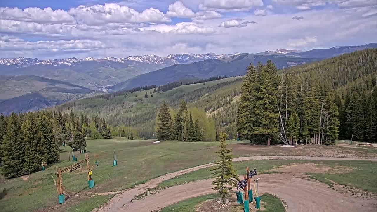 Webcam Beaver Creek: Spruce