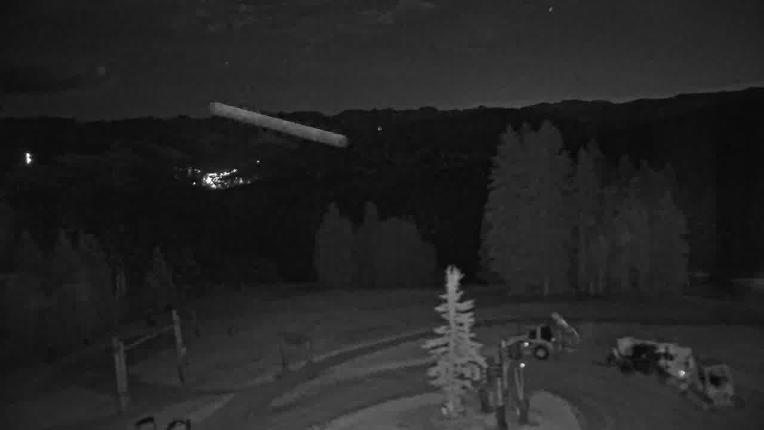 Webcam Beaver Creek: Spruce