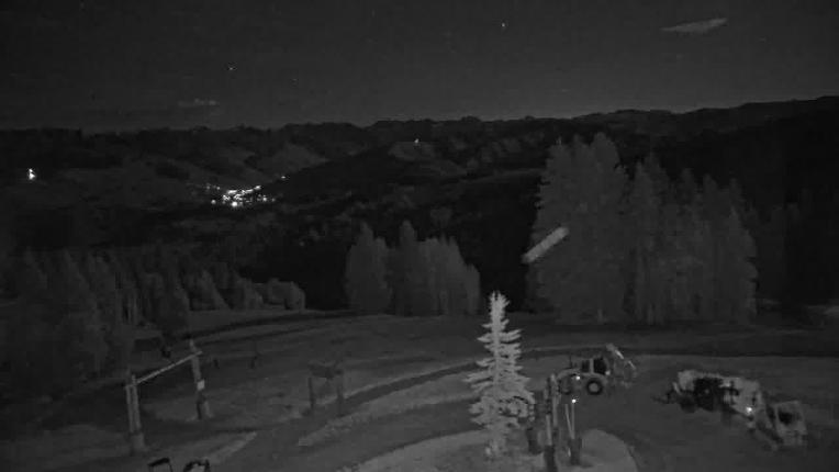 Webcam Beaver Creek: Spruce