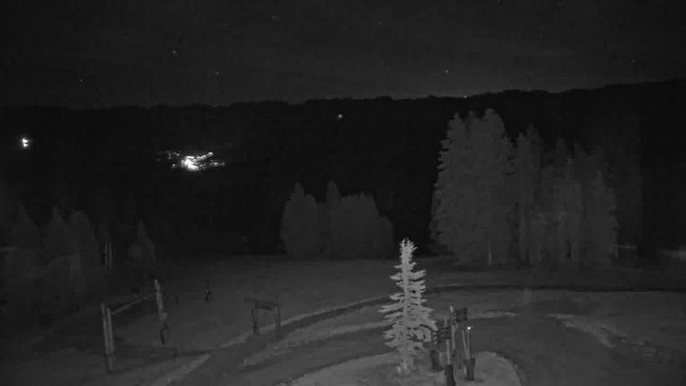 Webcam Beaver Creek: Spruce