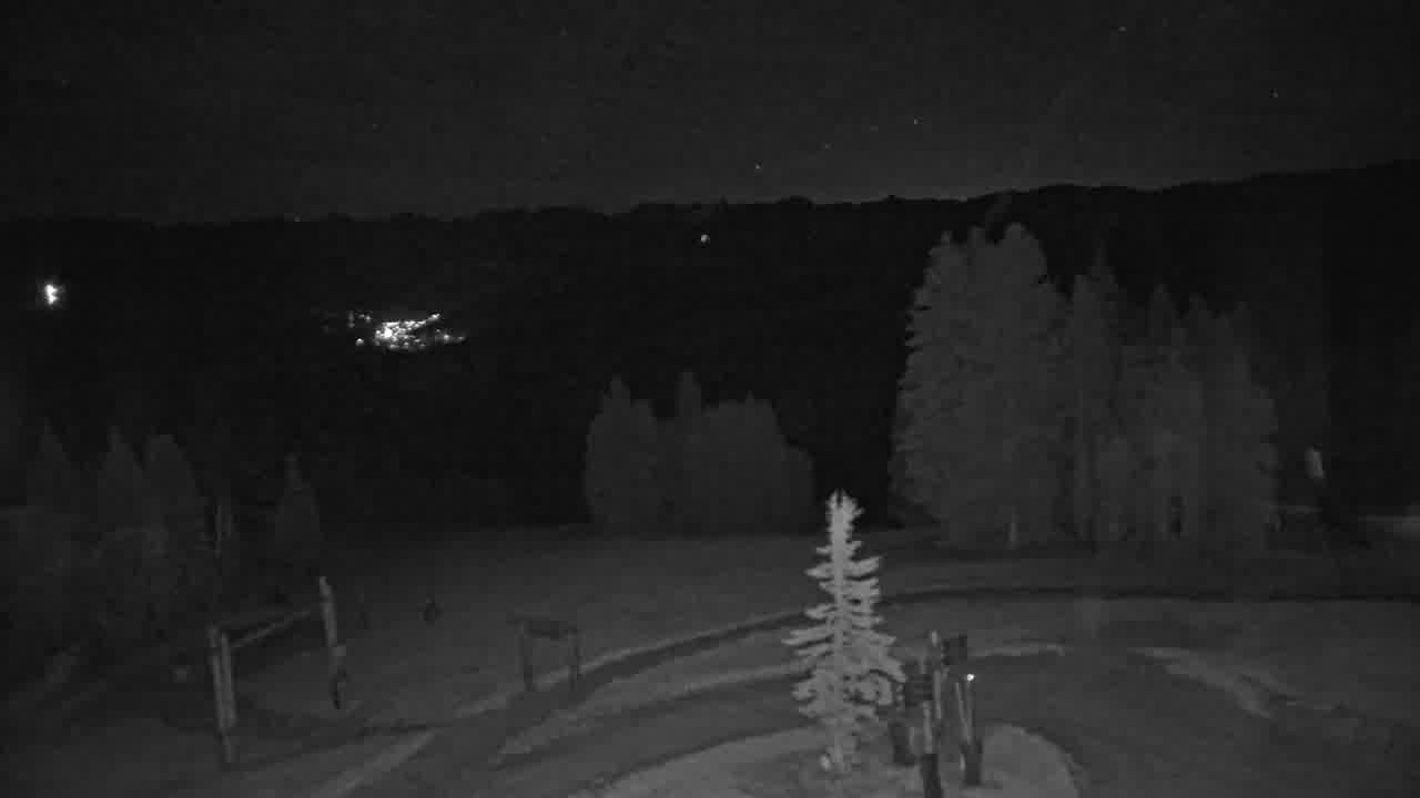 Webcam Beaver Creek: Spruce
