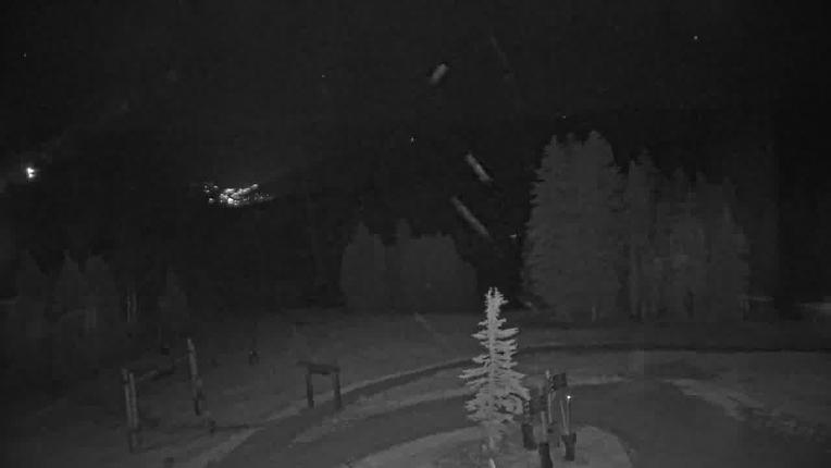 Webcam Beaver Creek: Spruce
