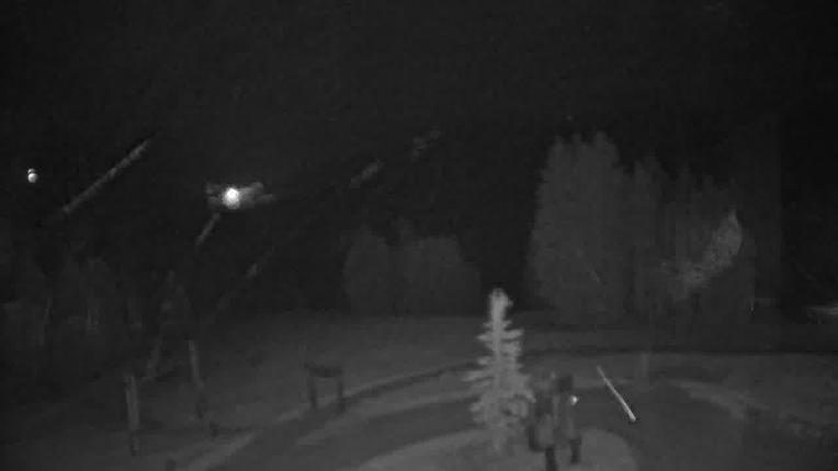 Webcam Beaver Creek: Spruce