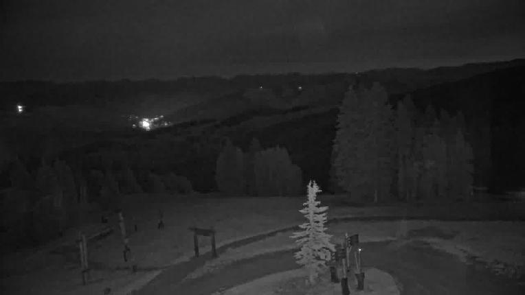 Webcam Beaver Creek: Spruce