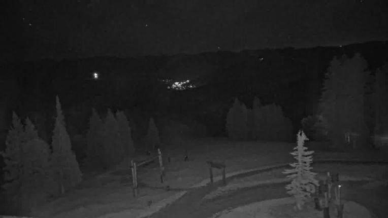Webcam Beaver Creek: Spruce
