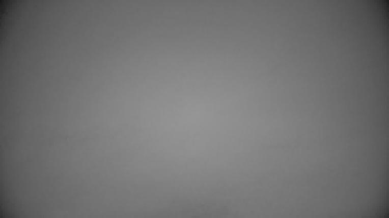 Webcam Beaver Creek: Spruce