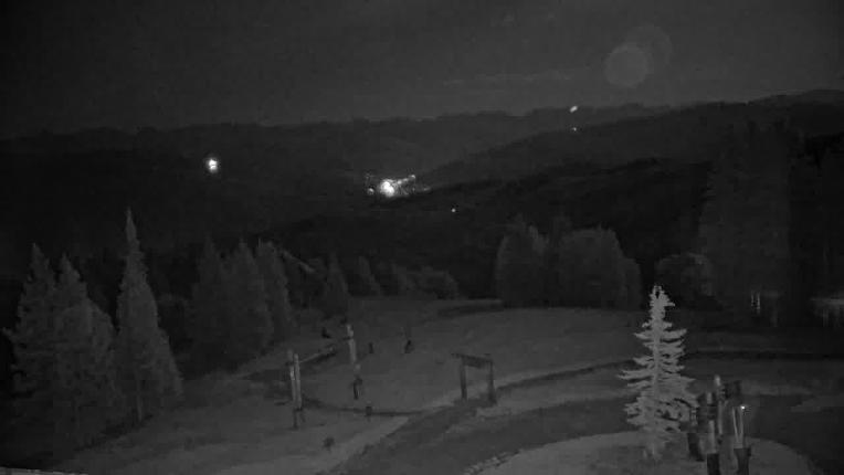 Webcam Beaver Creek: Spruce
