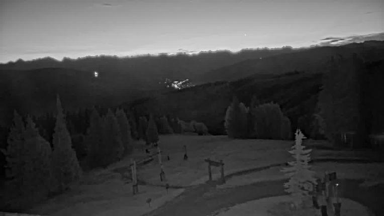 Webcam Beaver Creek: Spruce