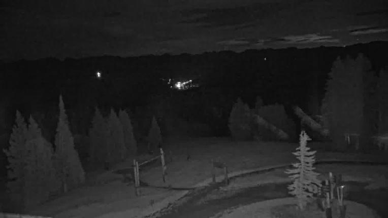 Webcam Beaver Creek: Spruce