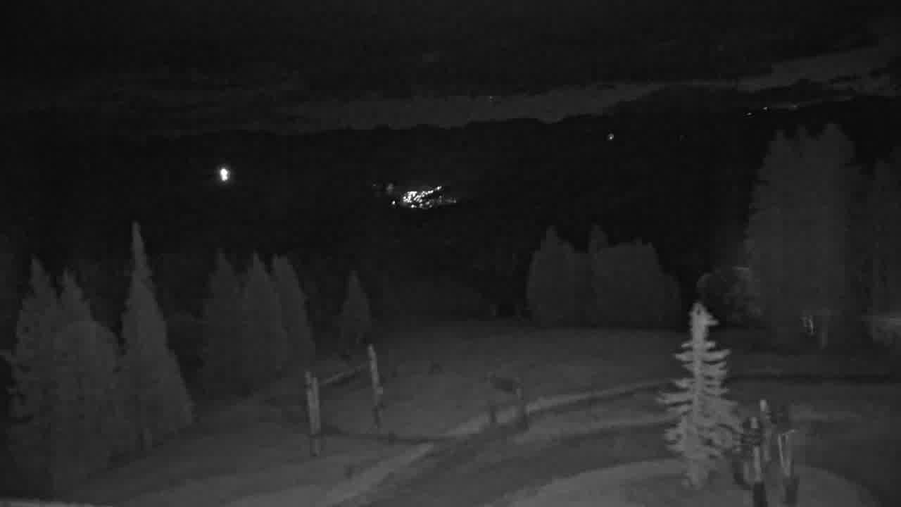 Webcam Beaver Creek: Spruce