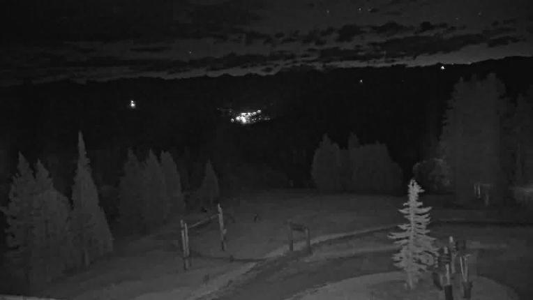 Webcam Beaver Creek: Spruce